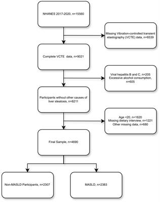 Associations of five dietary indices with metabolic dysfunction-associated steatotic liver disease and liver fibrosis among the United States population